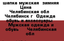 шапка мужская  зимняя › Цена ­ 150 - Челябинская обл., Челябинск г. Одежда, обувь и аксессуары » Мужская одежда и обувь   . Челябинская обл.